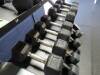Free Weight Rack TKO (Total 500lbs) includes 9 sets of free weight from 15lbs upto 45lbs Mod. Keys & Hampton - 3