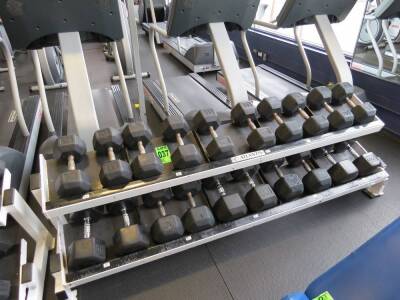 Set of 10 pairs of dumbells, starting at 55lbs upto 100lbs (1550lbs) including 2 level rack Atlantis, weight brands: TKO, Keys