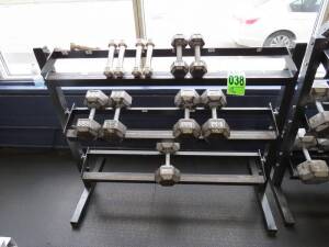 Set of 6 pairs of dumbells, starting at 2lbs upto 40lbs (227lbs) including 3 level rack & (1) 45lb Dumbell