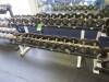 Set of 16 pairs of dumbells, starting at 5lbs upto 15lbs (320lbs) including 2 level rack Atlantis & (1) 12.5lb Dumbell - 8