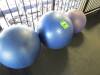 Large Excersie Balls