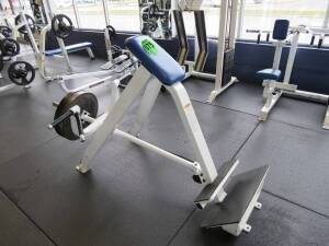 Weight Machine w\free weights, T-Bar Row Icarian with Iron Weights (3) 45 lb York & (1) 25lb York