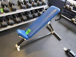 Adjustable Inclinable Bench