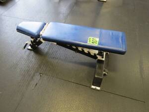 Flat and or Adjustable Bench Atlantis