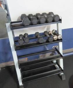 Weight Rack Strength Trainer (Total 70lb) includes 5 sets of weights from 5lb upto 8lb